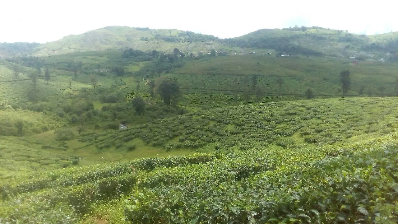 Green Valley Tea House Vagamon Hotel Feriested