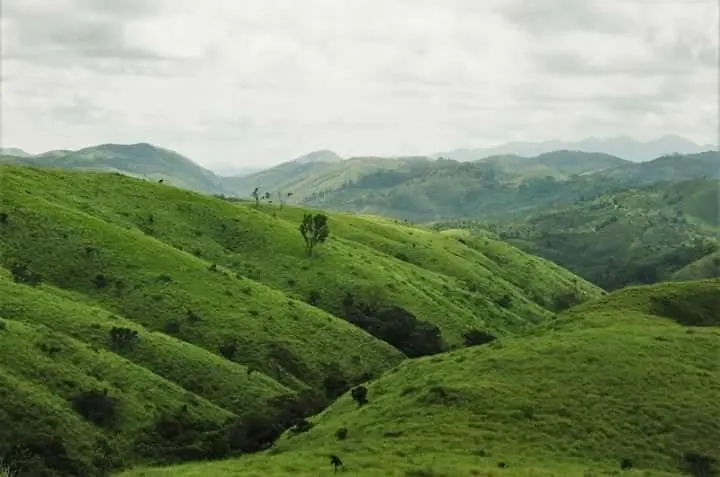 Green Valley Tea House Vagamon Hotel Feriested